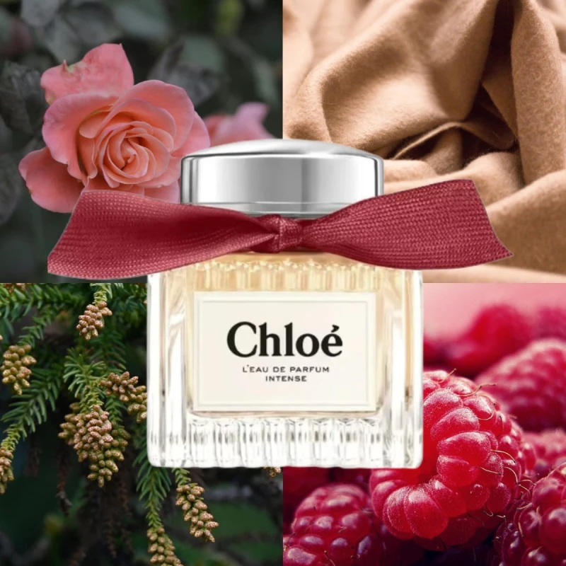 Chloe Signature Intense.jpg