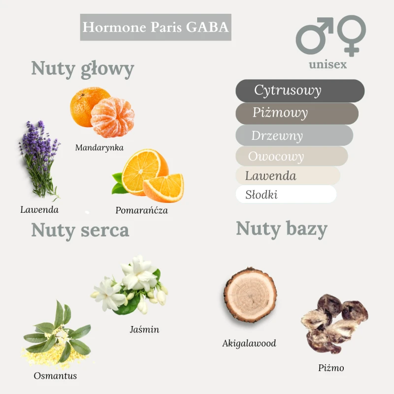 Hormone Paris Gaba.png